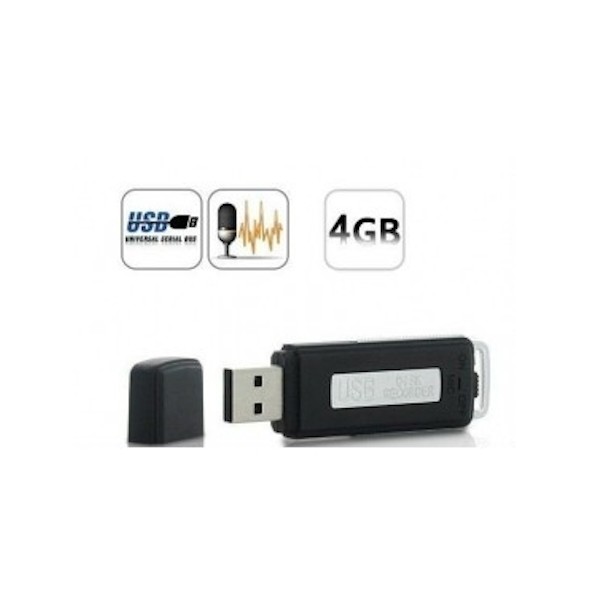 Enregistreur vocal et clé USB REC-220, Enregistreurs vocaux
